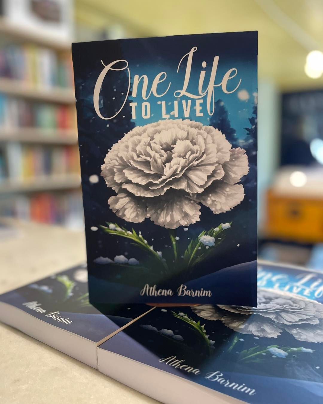 One Life To Live (Balsam River Series 1) - Athena Barnim